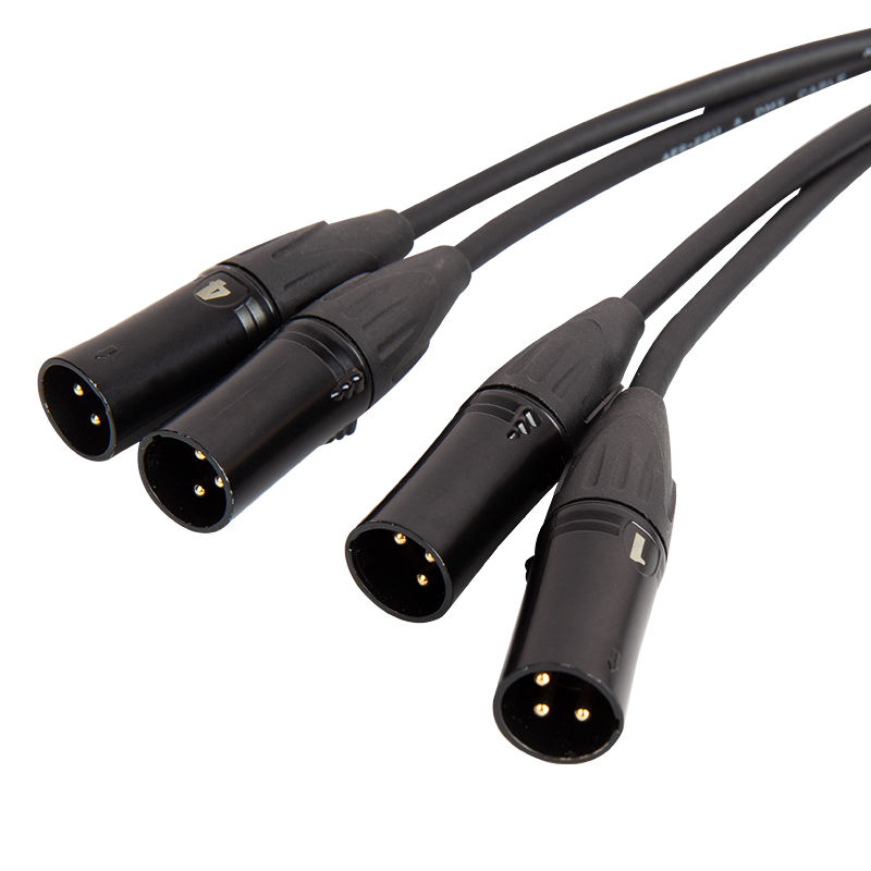Cable de distribució XLR RJ45 mascle
