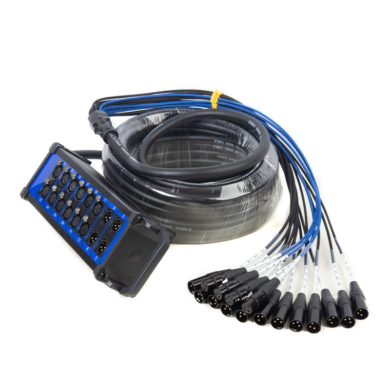 XLR Snake Cable