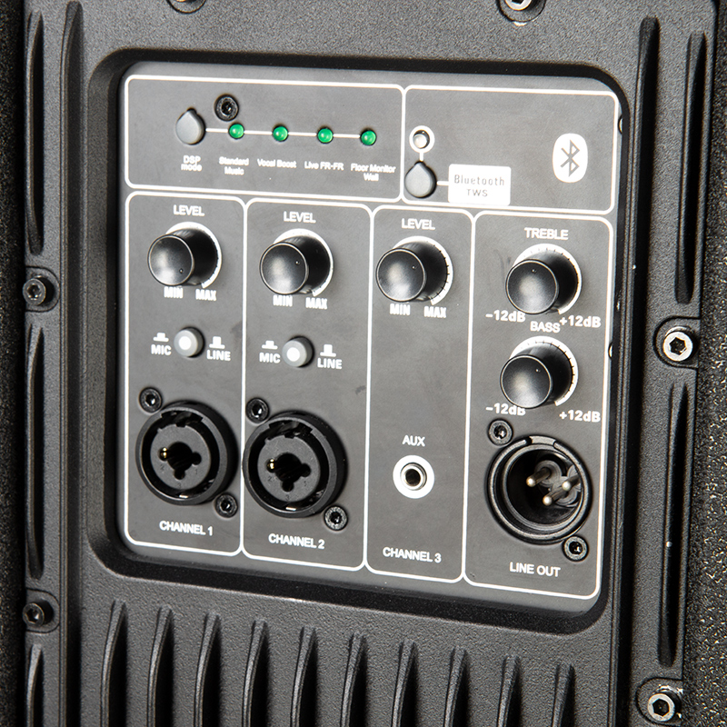 Active two way wooden monitor speaker