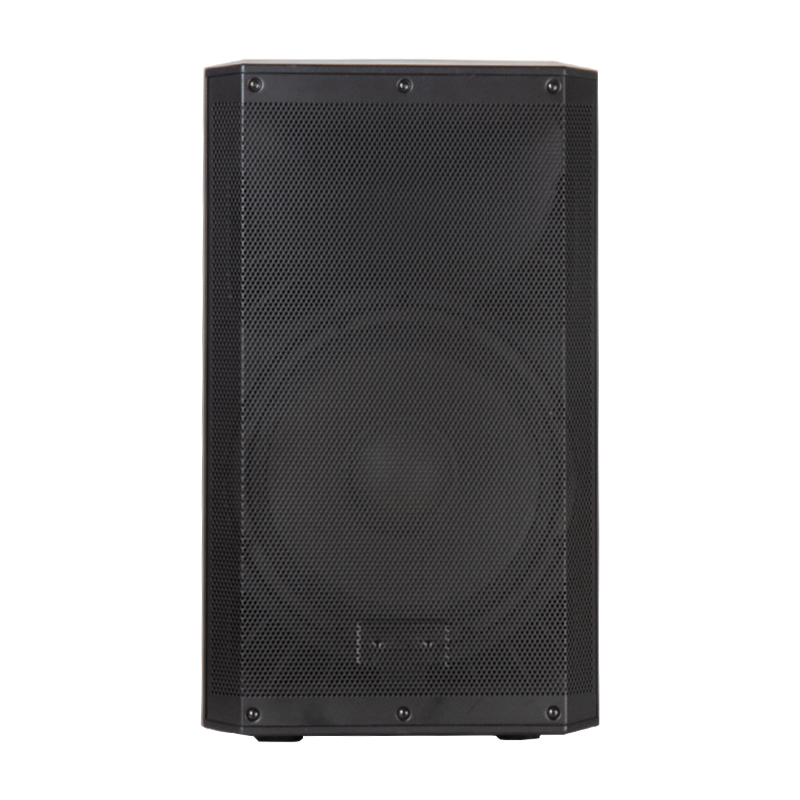 Professional active PA speaker