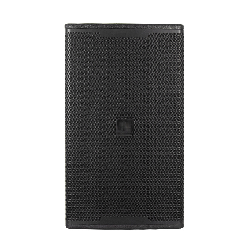 birch plywood passive speaker