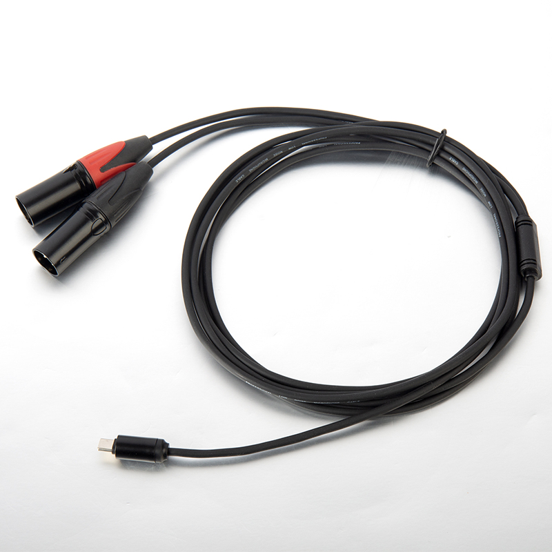 Type C to 2 male XLR microphone cable