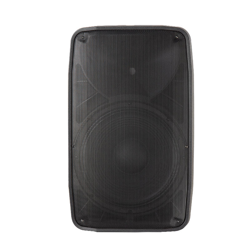 HD-15A Class-H active speaker internal amplifier and 3 channel mixer view