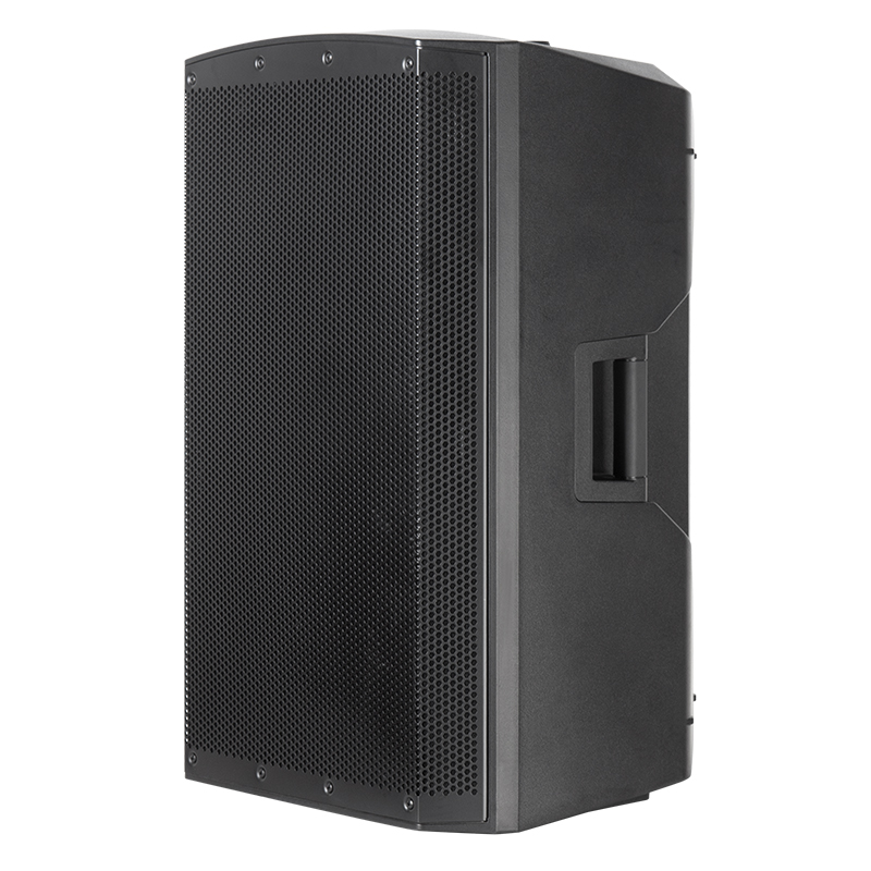 Budget active speaker