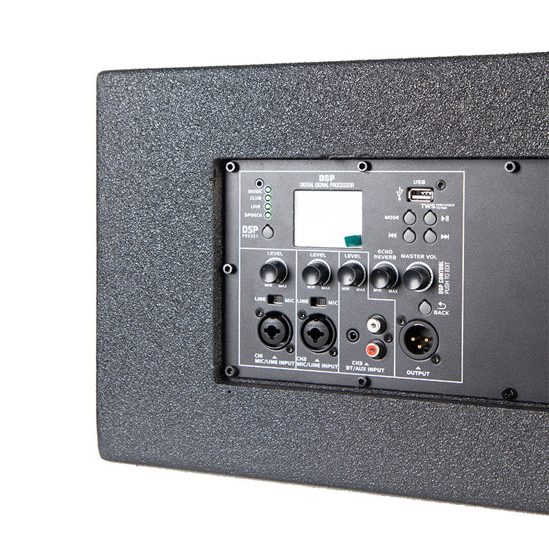 China OEM Sound System