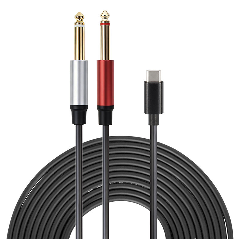 USB C to 6.35mm audio cable