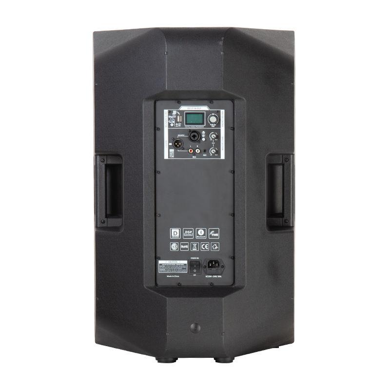 China active PA speaker supplier