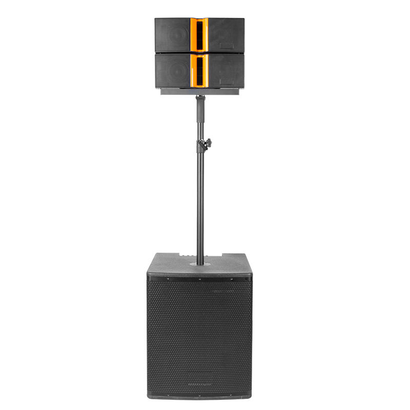 OEM dual 4 line array factory