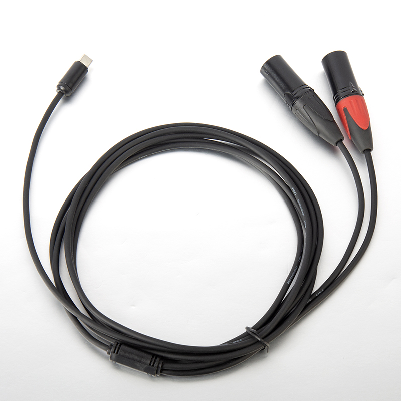 Type C to 2 male XLR microphone cable