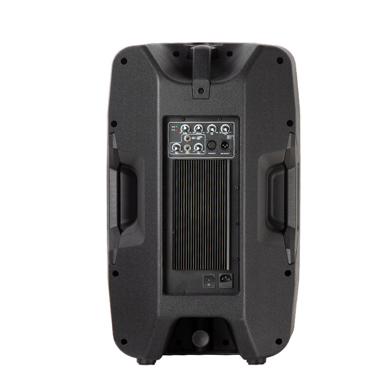 China active PA speaker supplier