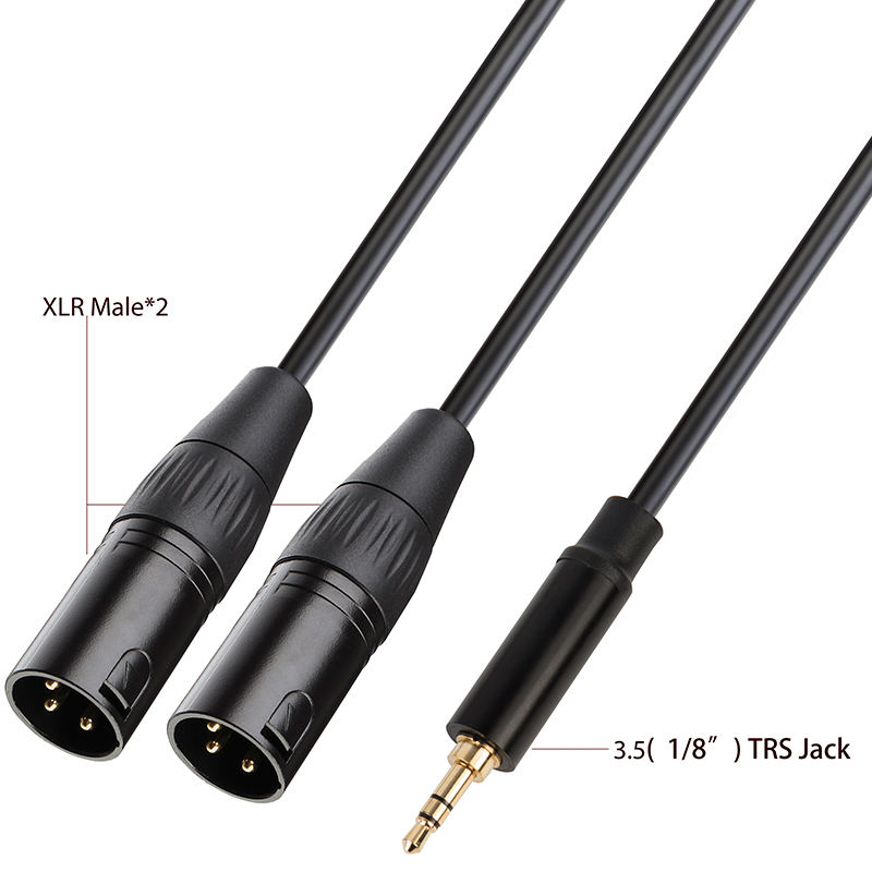 1/8 inch TRS to XLR Y cable