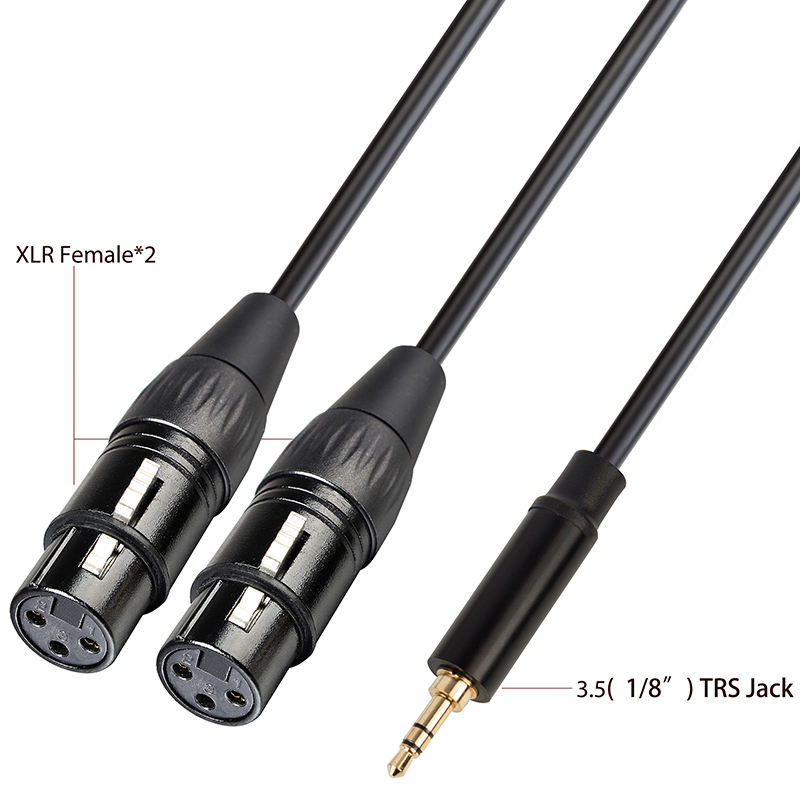 1/8 inch TRS to XLR female Y cable