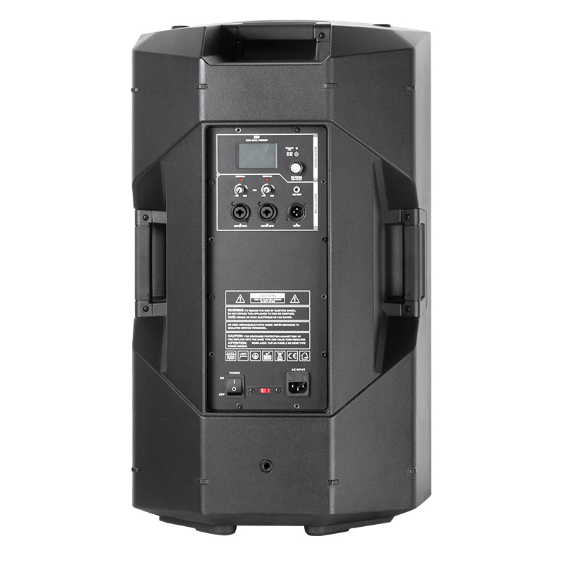 Budget active speaker