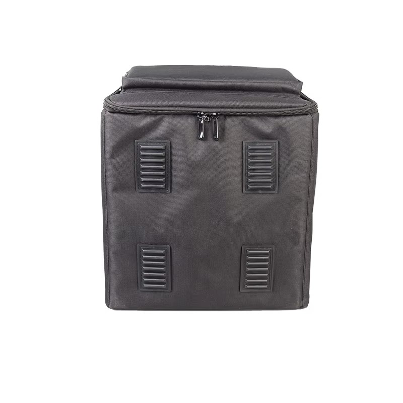 Padded PAR light and controller bag