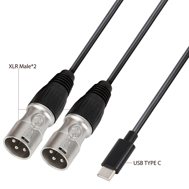 USB C to dual XLR cable