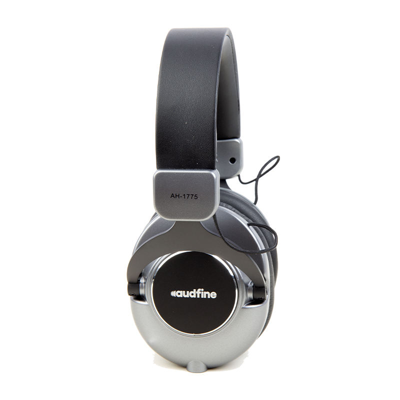computer headphones with mic
