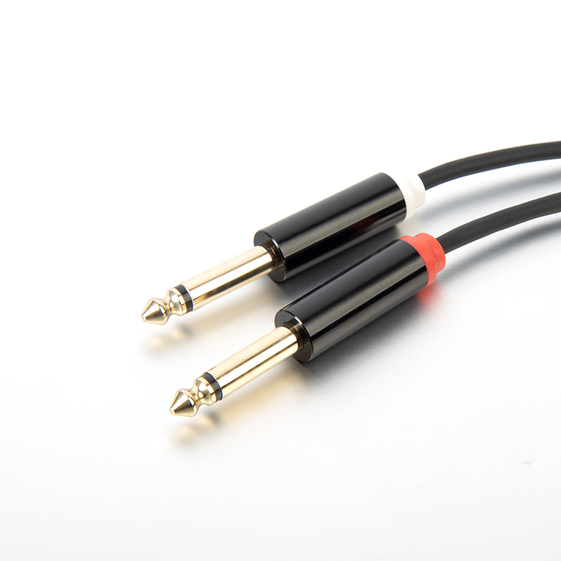 Type C to 1/4 inch TS cable	