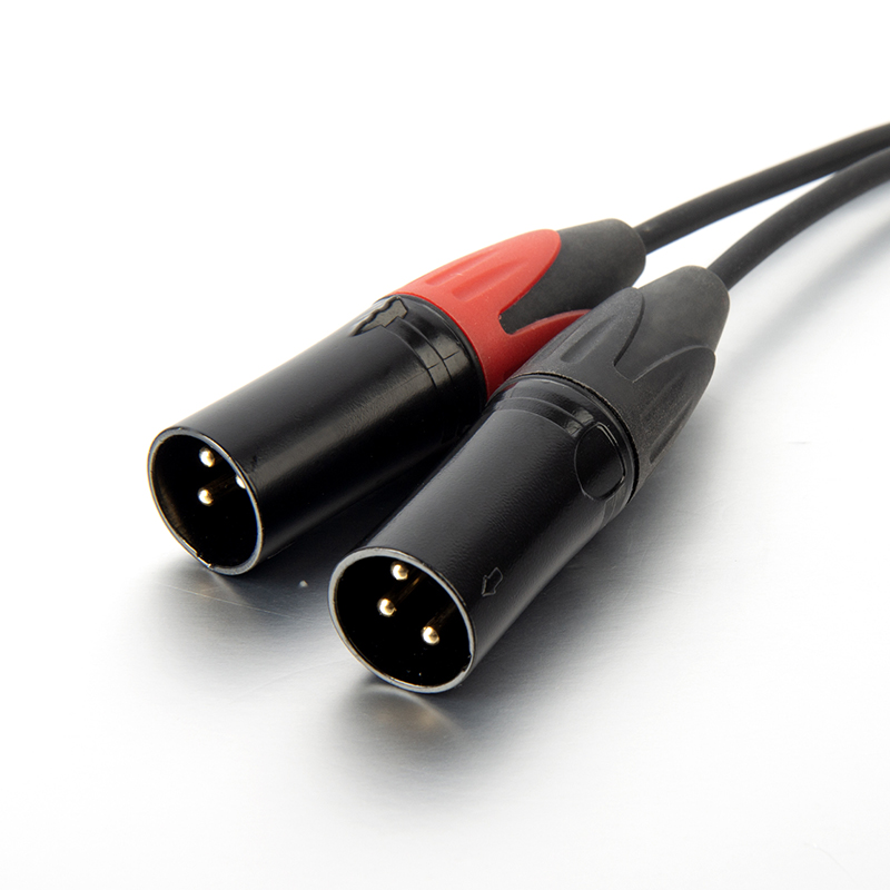 Type C to 2 male XLR microphone cable	