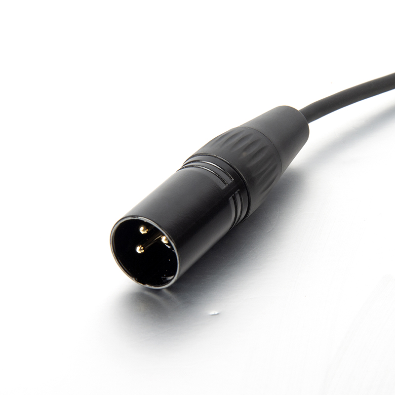 2m Type C to XLR microphone cable	