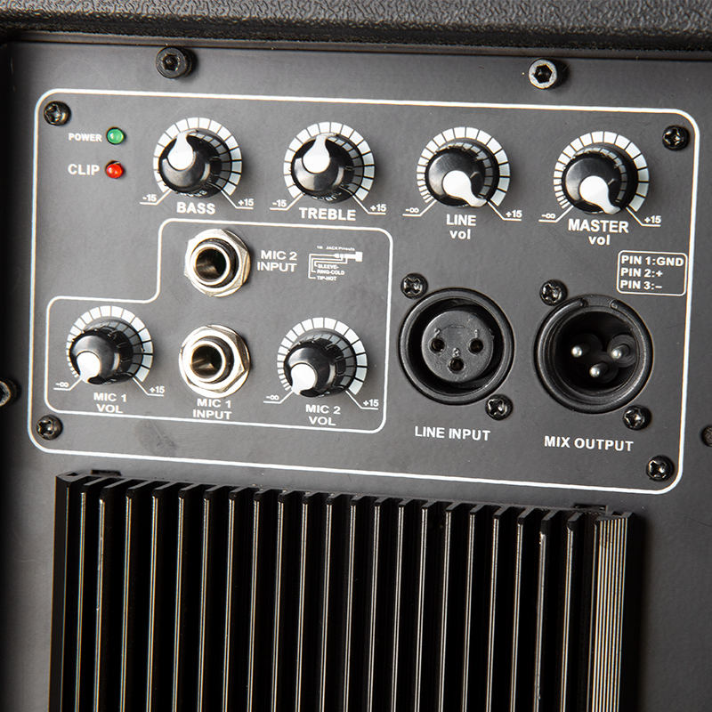 Lesound HD-15A 15 inch 800W peak PA speaker for professional DJs and bands