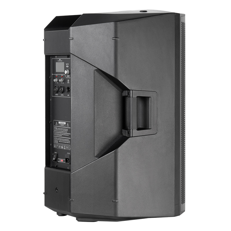 Outdoor active PA speaker