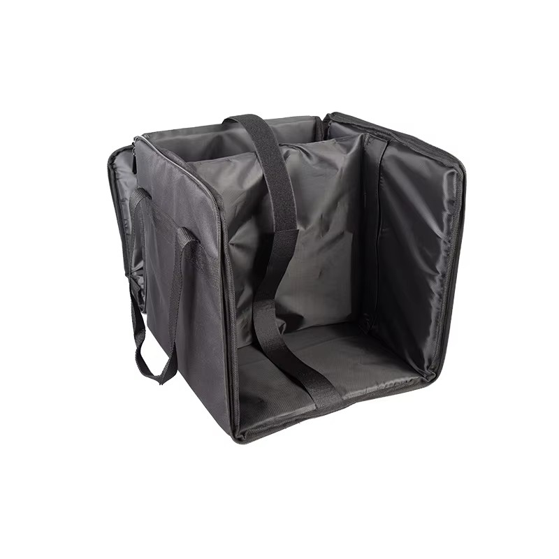 Padded PAR light and controller bag