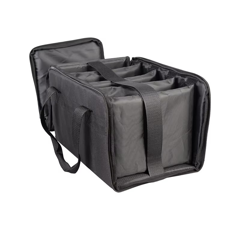 Padded PAR light and controller bag