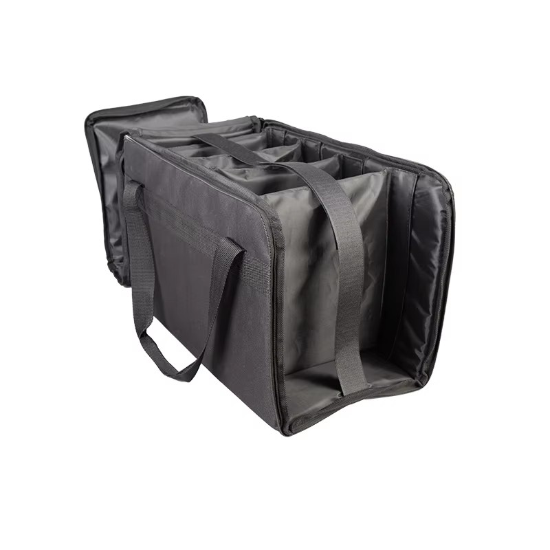 Padded PAR light and controller bag