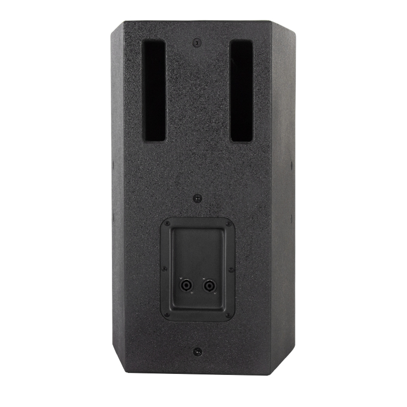 birch plywood passive speaker