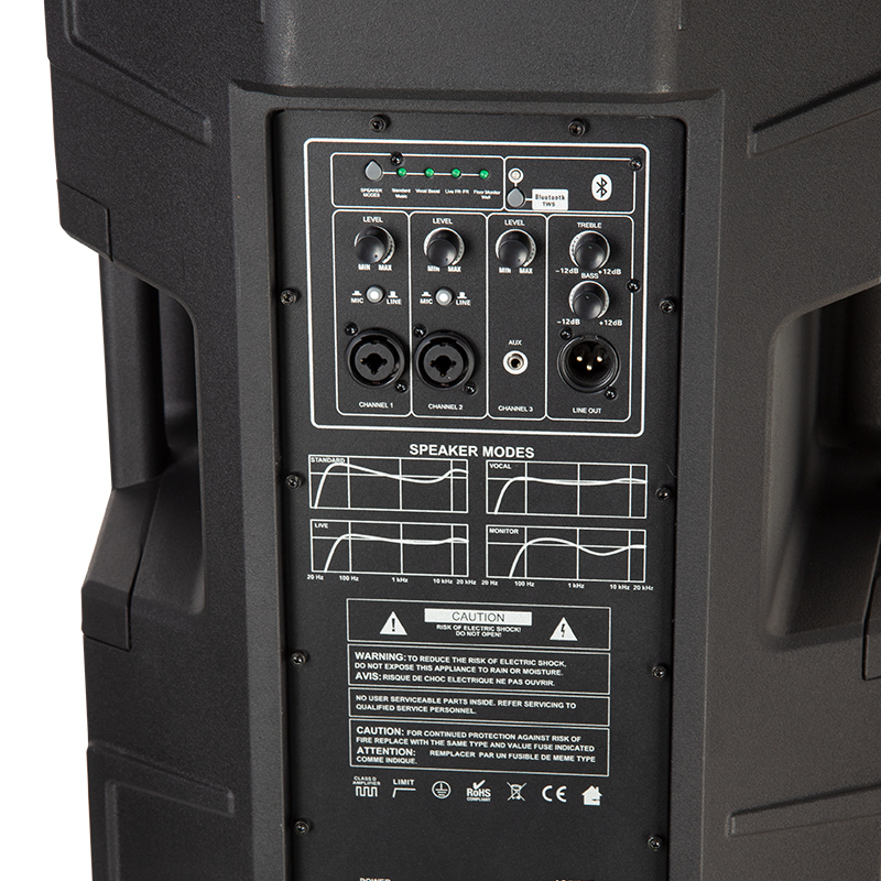 Professional active PA speaker