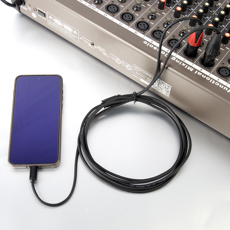 Type C to 2 male XLR microphone cable