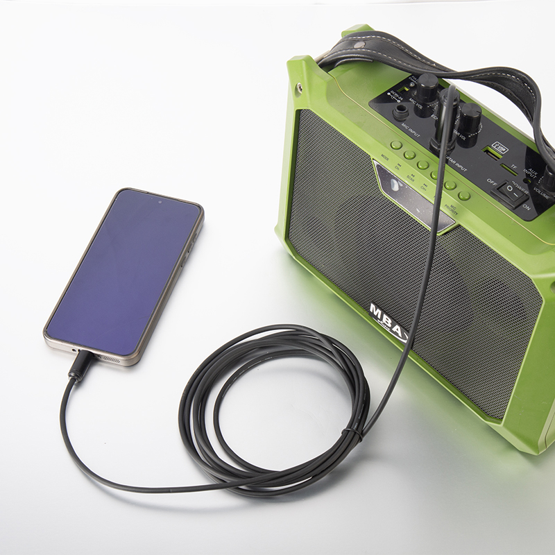 Type C to 6.35mm TS audio cable	