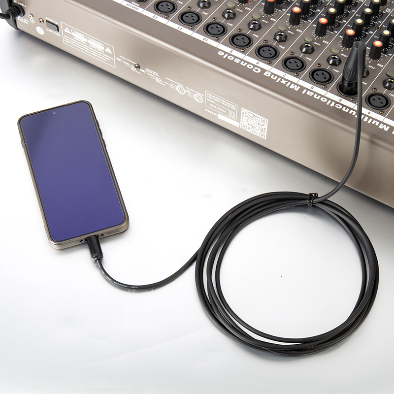 2m Type C to XLR microphone cable