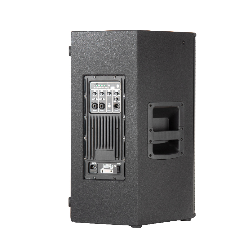 Two way wooden active speaker for restaurant