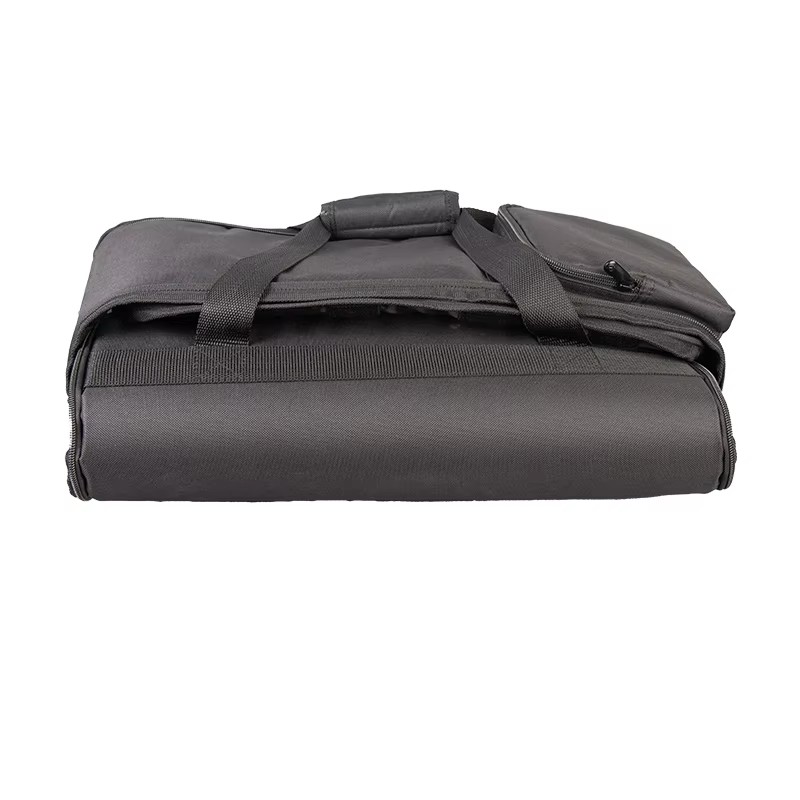 Padded PAR light and controller bag