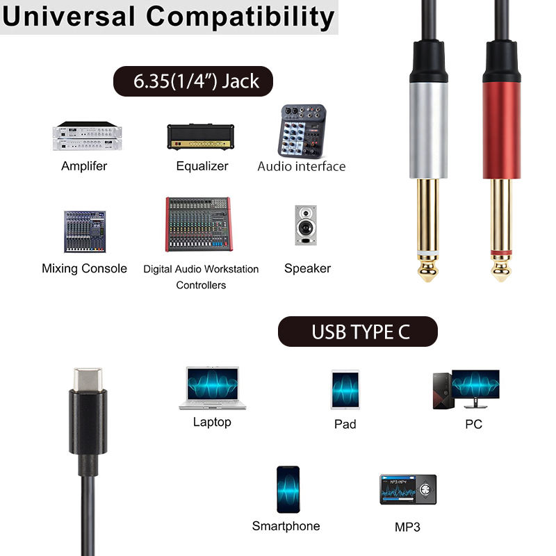 USB C to 6.35mm adapter