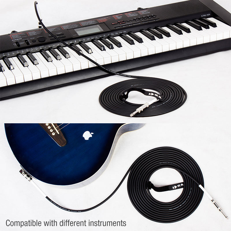 1/4 inch audio cable