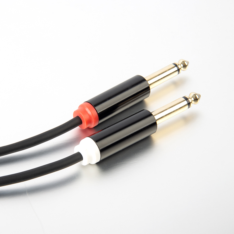 USB C to dual 1/4 inch TS cable