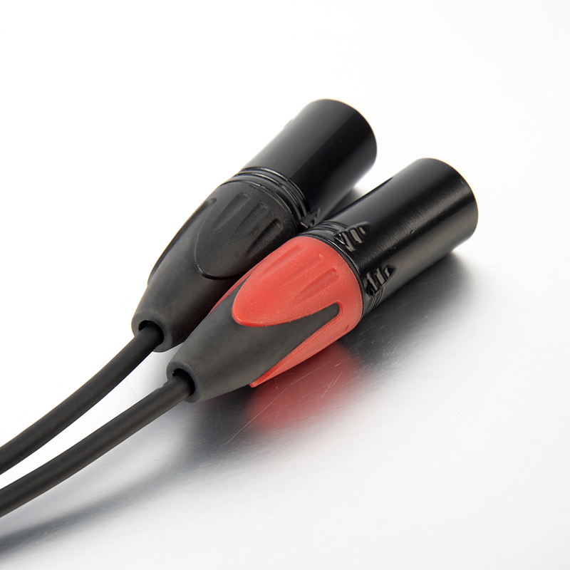 Type C to 2 male XLR microphone cable