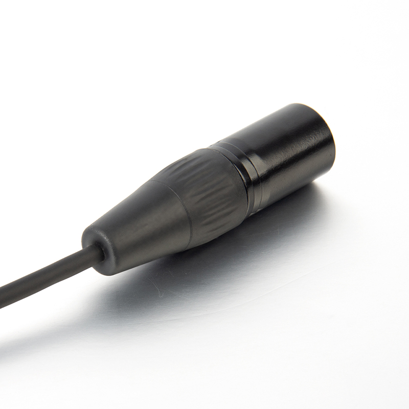 2m Type C to XLR microphone cable