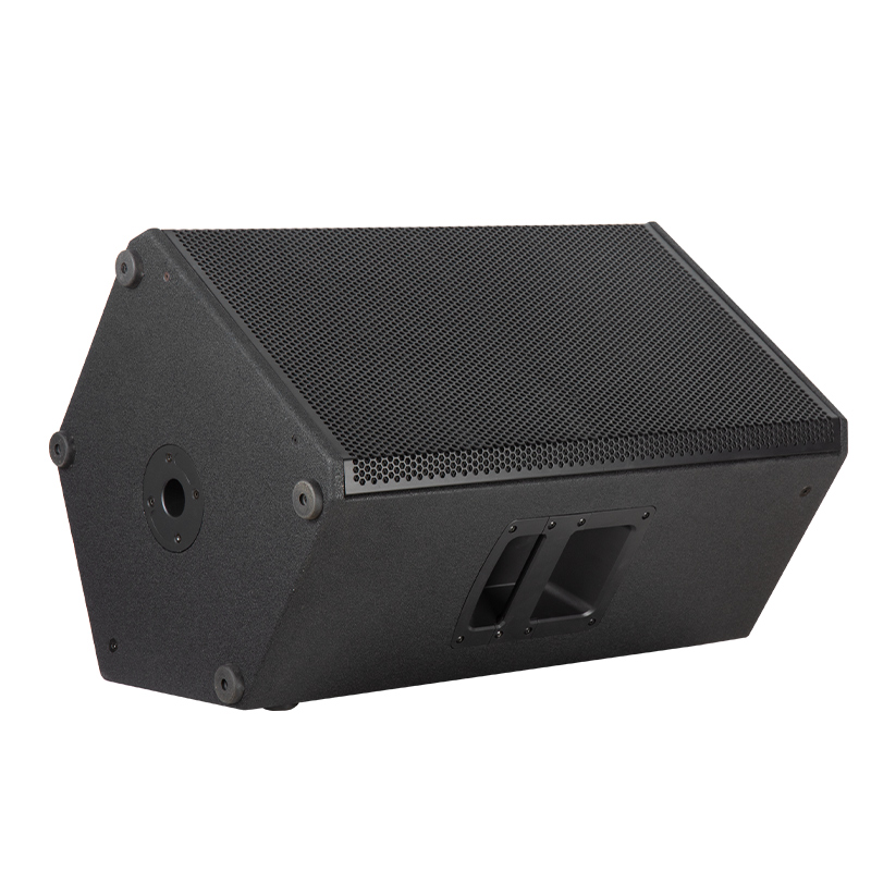 Active two way wooden monitor speaker